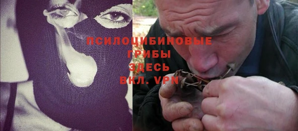 ГАЛЛЮЦИНОГЕННЫЕ ГРИБЫ Алексеевка
