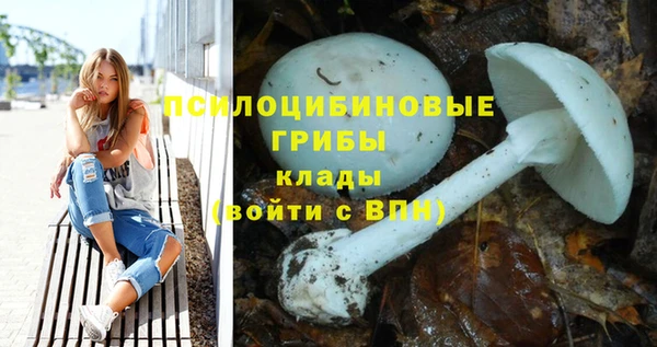 каннабис Алзамай