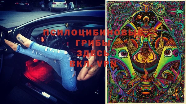 ГАЛЛЮЦИНОГЕННЫЕ ГРИБЫ Алексеевка