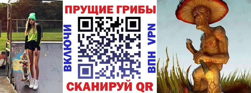 Псилоцибиновые грибы GOLDEN TEACHER где продают наркотики Ленинск